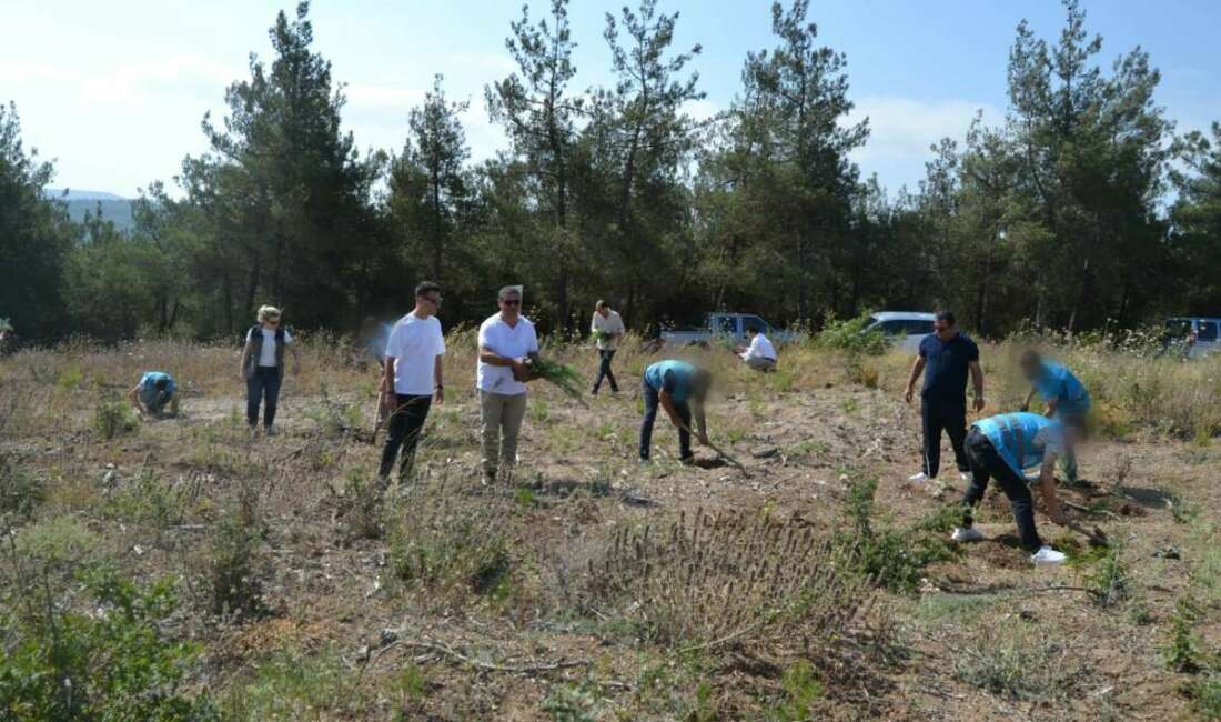 Bursa Denetimli Serbestlik Müdürlüğü ile Bursa Orman