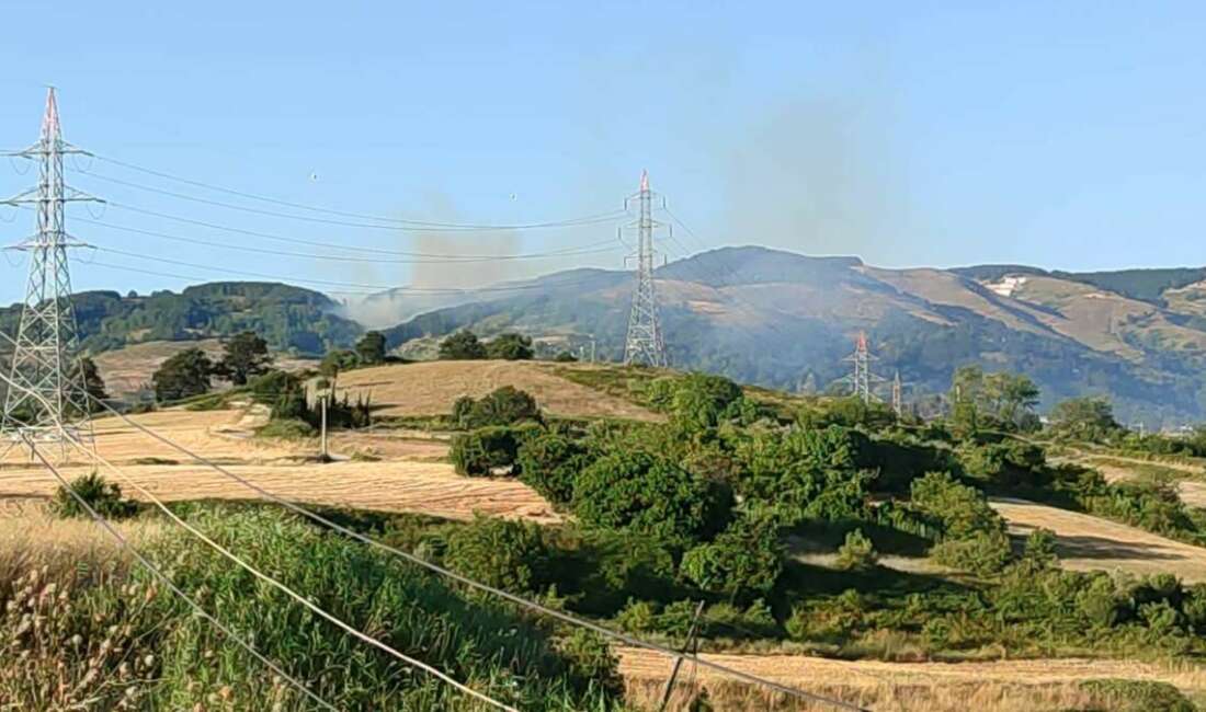 Bursa’nın Orhangazi ilçesinde çıkan
