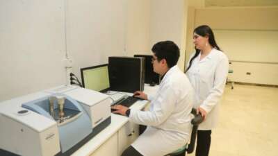 BTÜ’den yerli odun türlerini mobilya ve yapı sektörüne kazandıracak proje