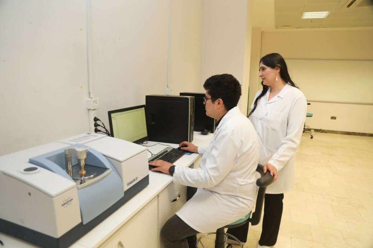 BTÜ’den yerli odun türlerini mobilya ve yapı sektörüne kazandıracak proje