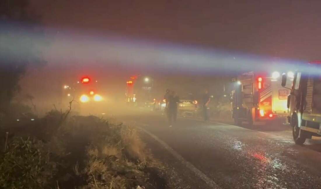 Balıkesir'in Altıeylül ilçesinde çıkan