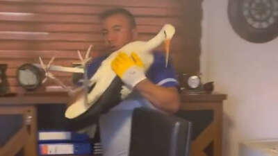 Yaralı leyleğe şefkat eli