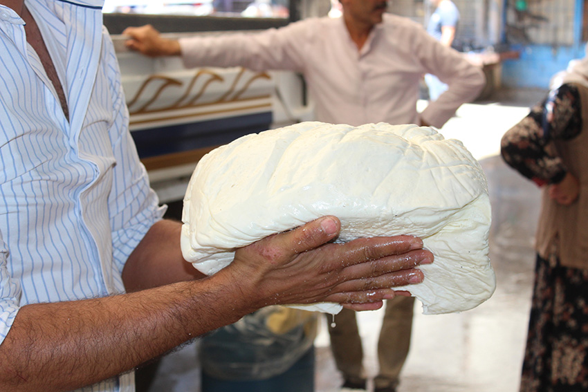 iirt'te peynir sezonunda hem