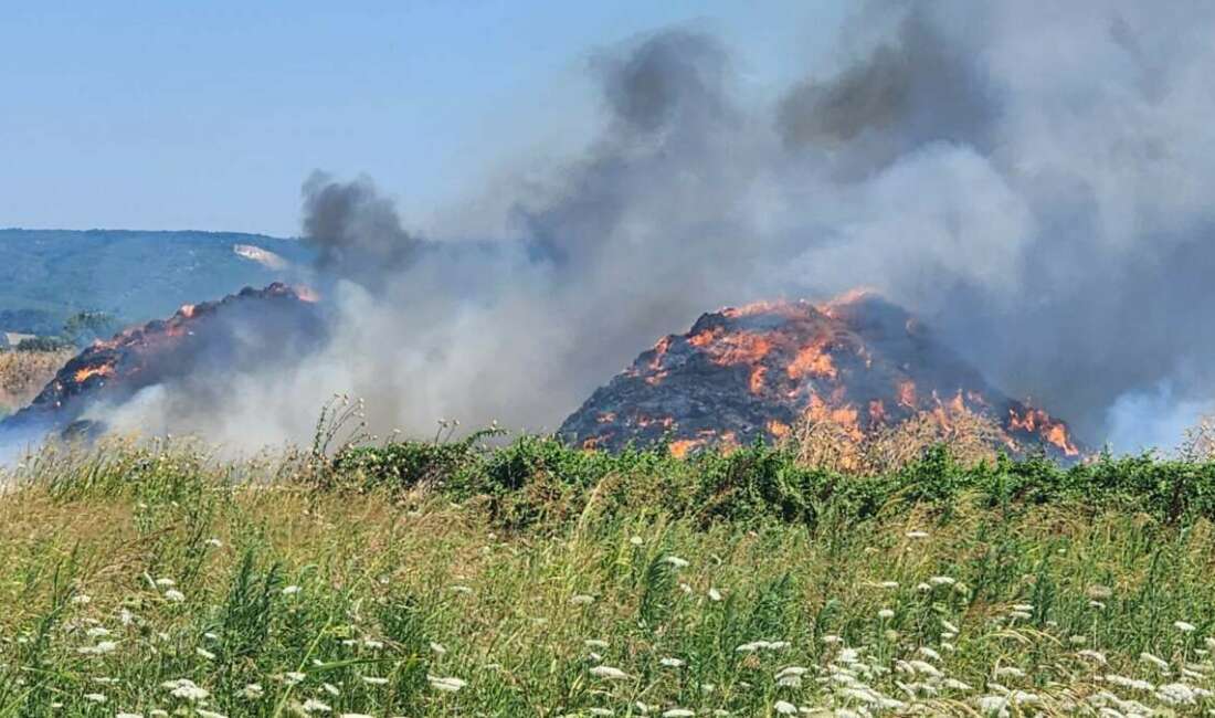 Bursa’da çiftlikte çıkan yangın 3 yere sıçradı Bursa'da Mustafakemalpaşa ilçesinde bir