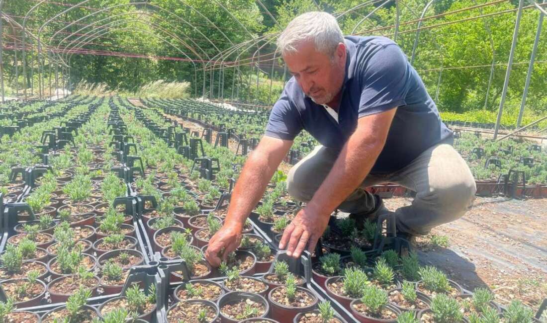 Bursa'nın Keles ilçesindeki Pınarcık