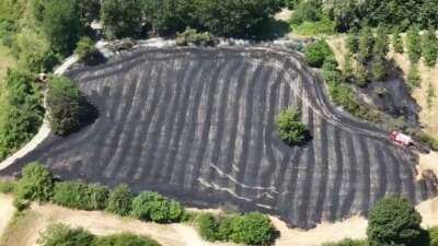 Anız yangını büyümeden söndürüldü