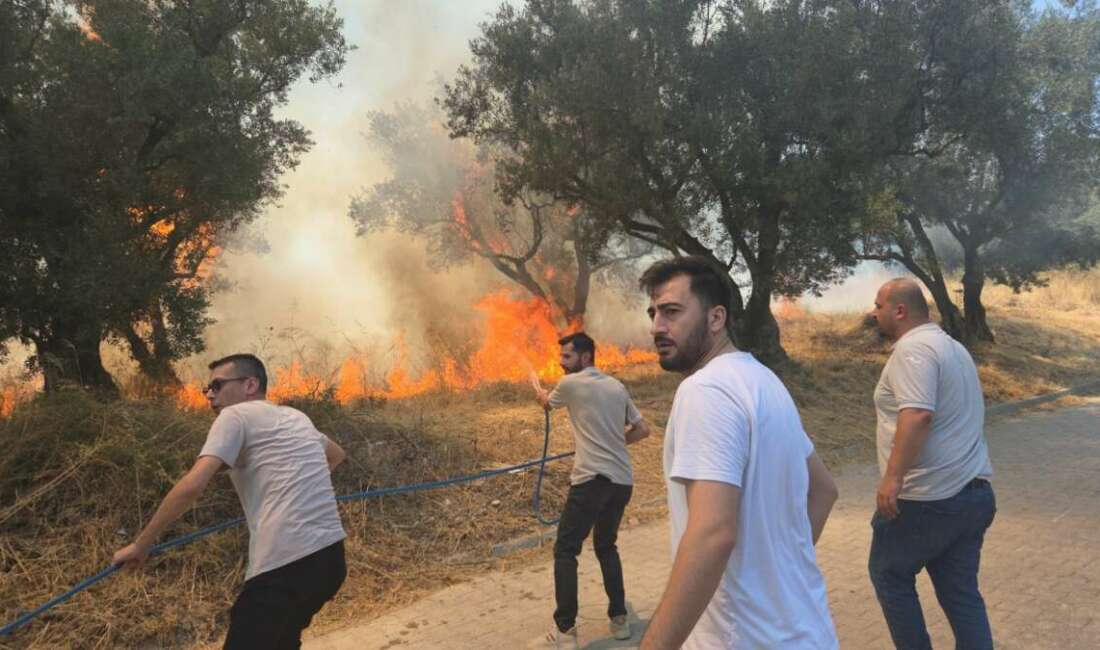 Bursa’da 20 zeytin ağacı yandı: 2 çocuk gözaltında Bursa’nın Orhangazi ilçesinde bir