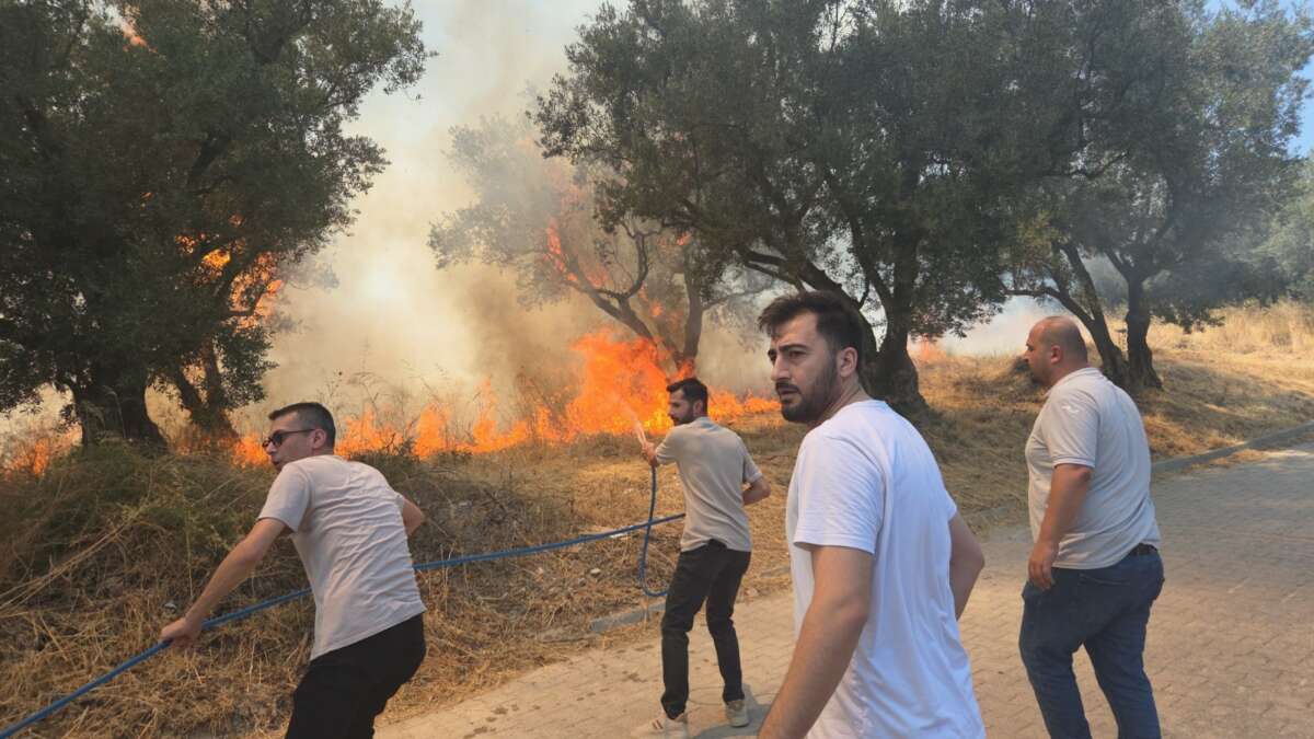 Bursa’da 20 zeytin ağacı yandı: 2 çocuk gözaltında