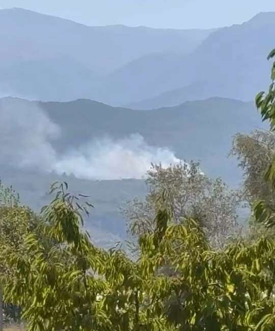 Bursa’da orman yangını Bursa'nın İnegöl ilçesinde çıkan