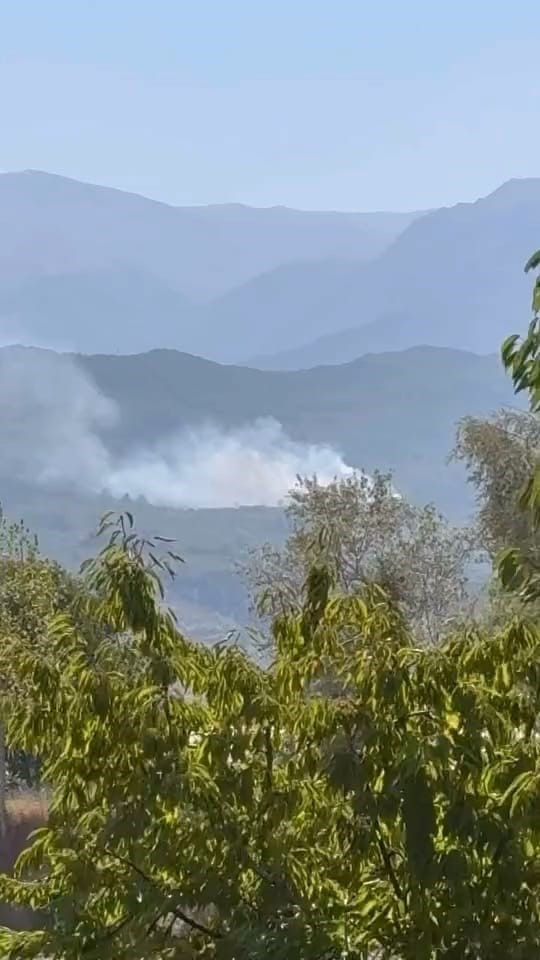 Bursa’da orman yangını