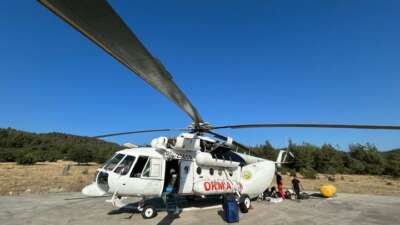 Bursa Orman Bölge Müdürlüğü, yaz