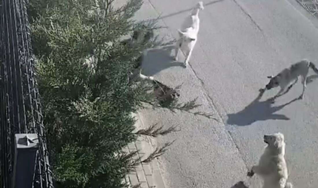 Bursa'da sabah işe gitmek