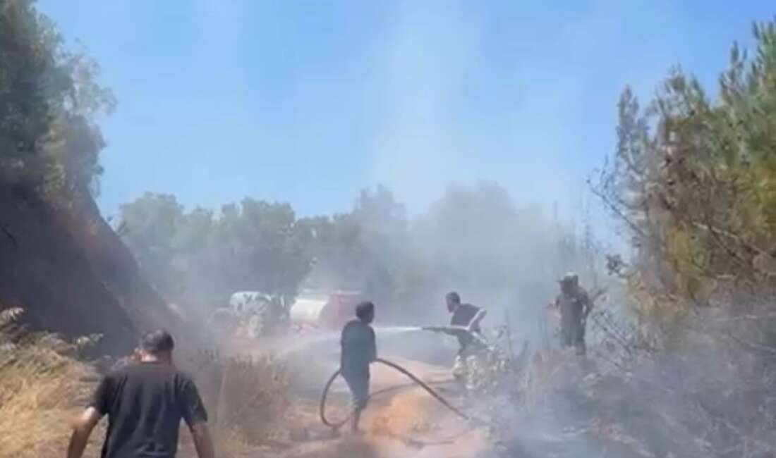 Bursa'nın Gemlik ilçesi Kurşunlu