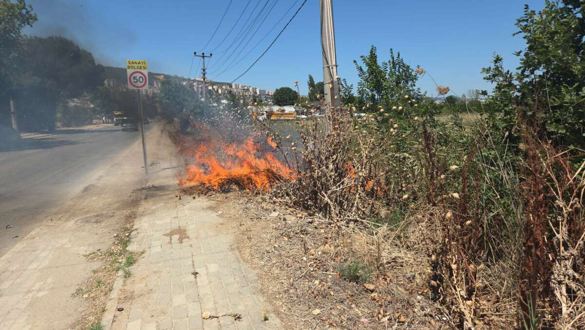 Bursa’da otluk alanda korkutan yangın