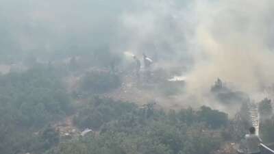 Bursa'nın Harmancık-Orhaneli mevkiindeki ormanlık alanda