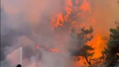 Bursa'nın Kestel ve Gürsu ilçeleri