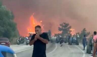 Kestel ile Gürsu arasındaki ormanlık