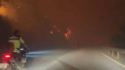 Bursa'nın Gürsu ilçesinde çıkan orman