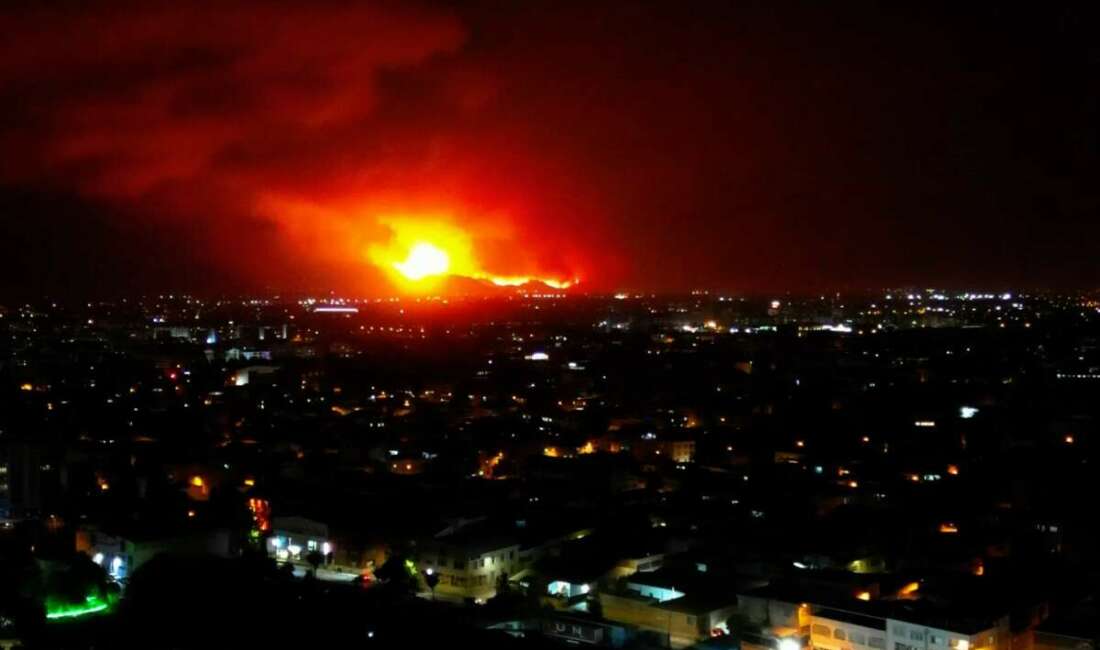 Bursa'nın Gürsu ilçesindeki ormanlık