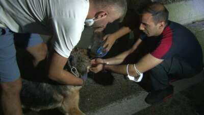 Bursa'da Kestel ve Gürsu ilçeleri