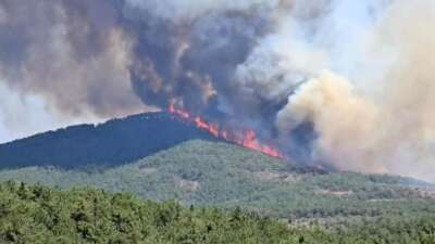 Bursa'nın Harmancık ilçesindeki orman yangını