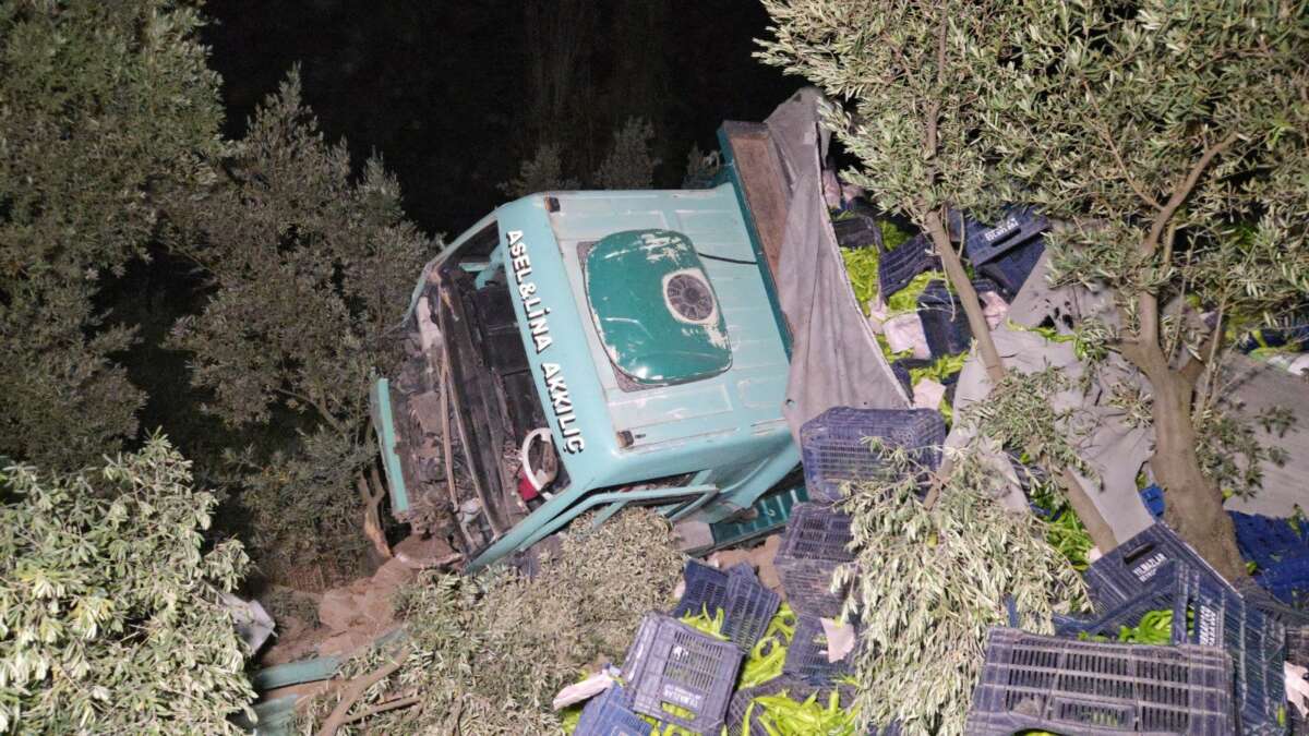 Biber yüklü kamyon zeytinliğe uçtu: 1 yaralı