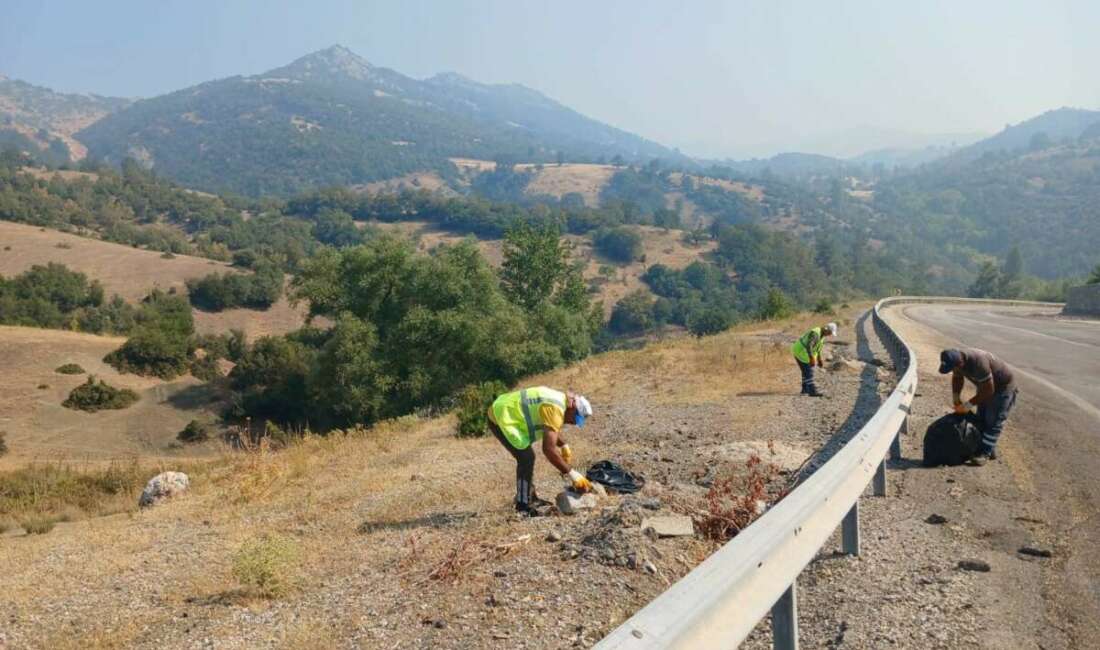 Bursa’da çıkan orman yangınlarına