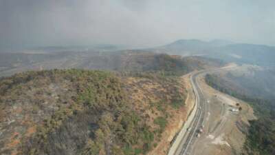 Bursa’nın Harmancık ilçesinde orman yangını