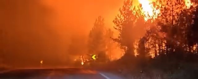 Orman yangınını söndürürken alev kapanında kaldılar Bursa'nın Harmancık ilçesinde 4