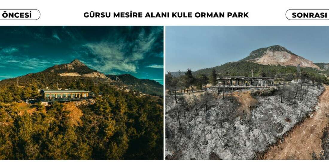 Gürsu yangınından yürek burkan kareler Bursa'nın Gürsu ilçesinde tarihi