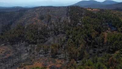 Bursa’da acı tablo: Harmancık’ta yanan yerler havadan görüntülendi