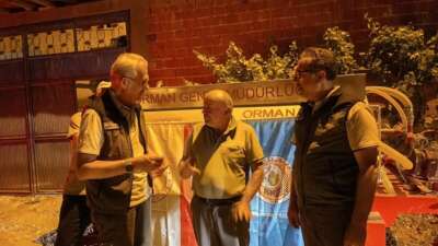 Bursa'nın Harmancık ilçesinde çıkan orman