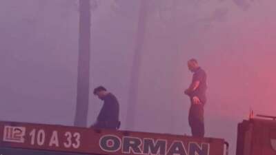 Bursa'nın Harmancık ilçesinde orman yangınını