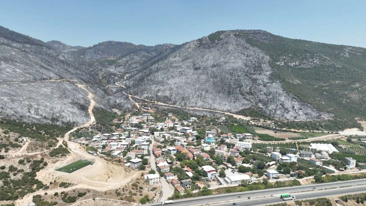 Yeşil Bursa’nın yemyeşil ormanları böyle karardı
