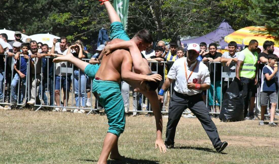 İznik, Elmalı Mahallesi Alıç