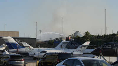 İstanbul'da Atatürk Havalimanı'nda bulunan otluk