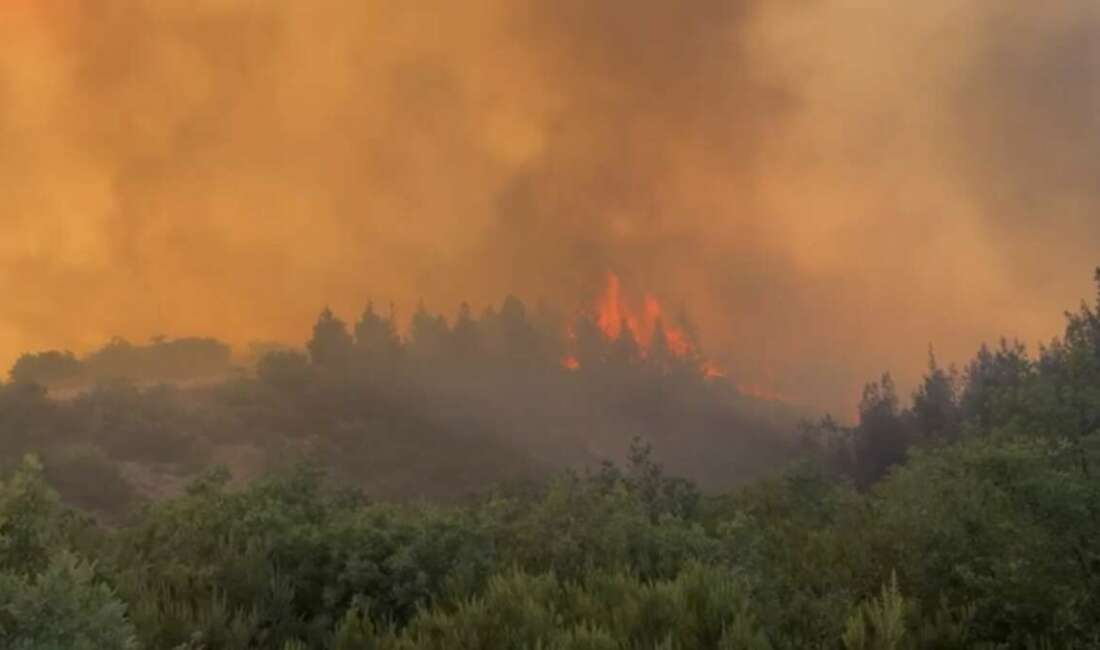 Balıkesir'in Susurluk ve Kepsut