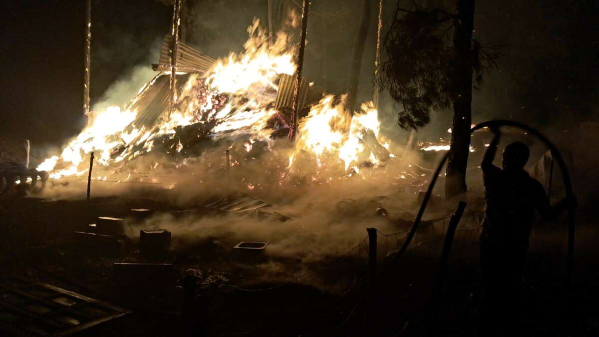 Bilecik’te dün gece başlayan yangında 95 hayvan telef oldu