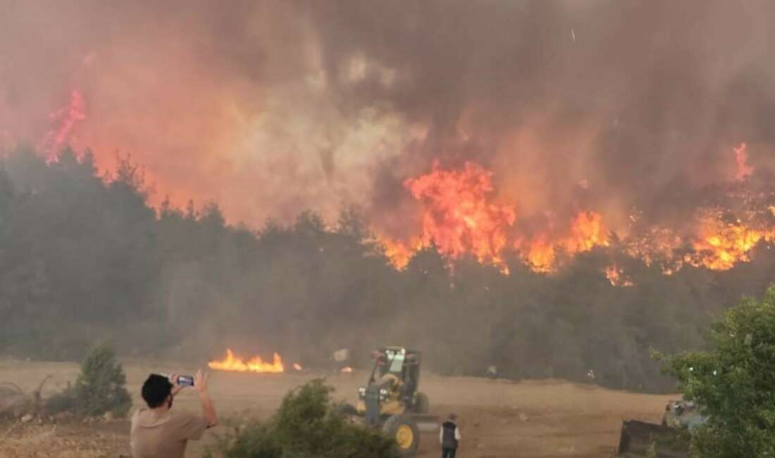 Bilecik'te 4 gün önce