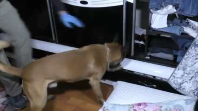 İçişleri Bakanı Ali Yerlikaya, 21