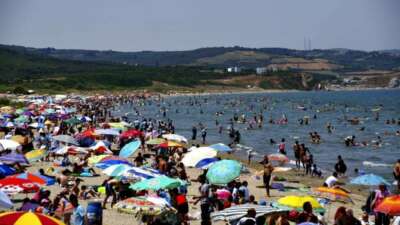 Bursa sahillerinden sevindiren haber