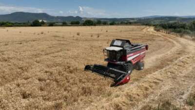 Bursa’da Büyükşehir desteği ile hasat zamanı