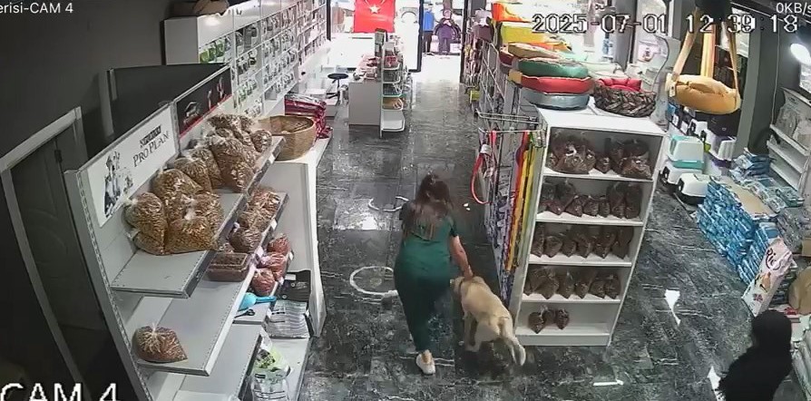 Bursa’daki depremde tedavi gören köpeği içeride bırakmadı Bursa'da dün meydana gelen