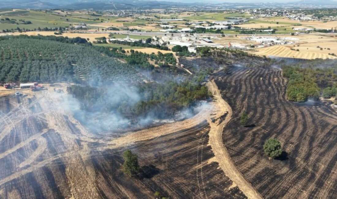 Bursa'nın Nilüfer ilçesinde ekili