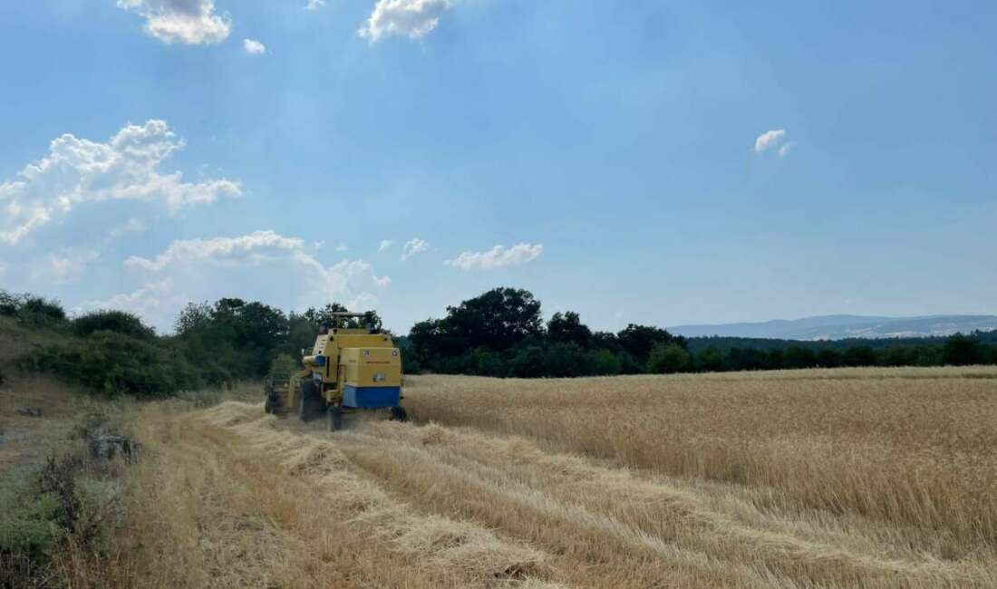 Bursa Büyükşehir Belediyesi, girdi