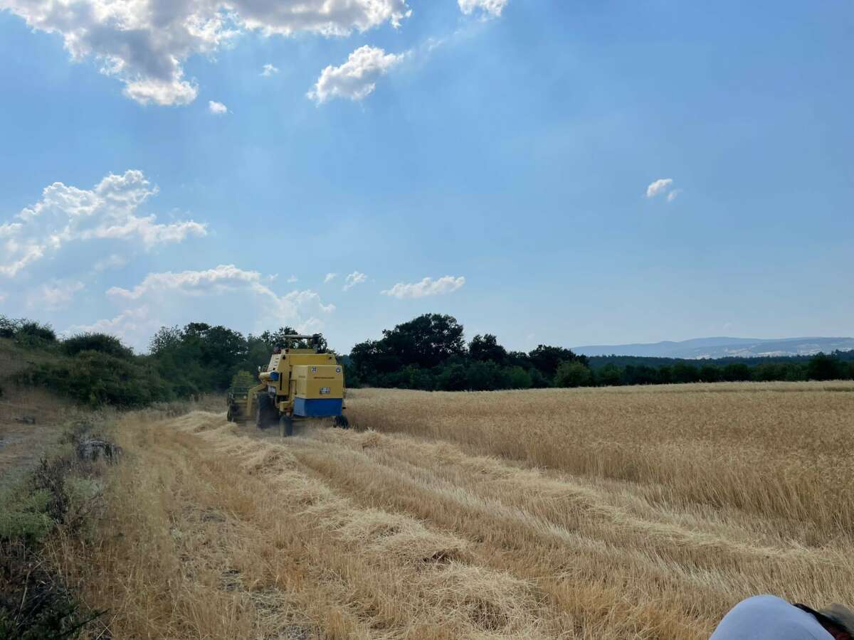 Büyükşehir’den kırsaldaki üreticilere biçerdöver desteği