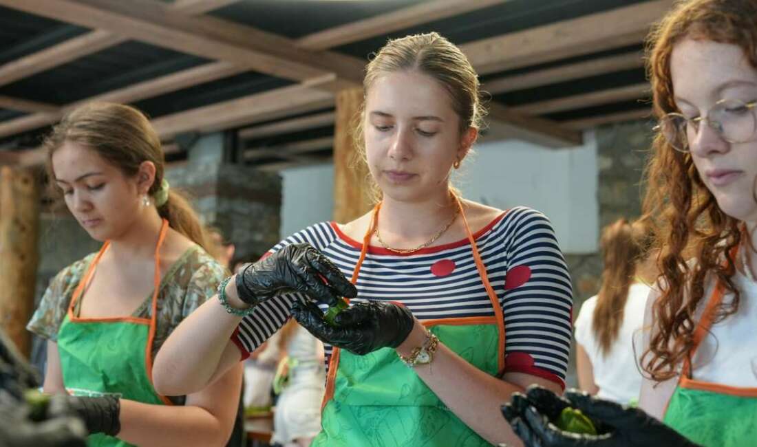 Gençler Arası Değişim Programı