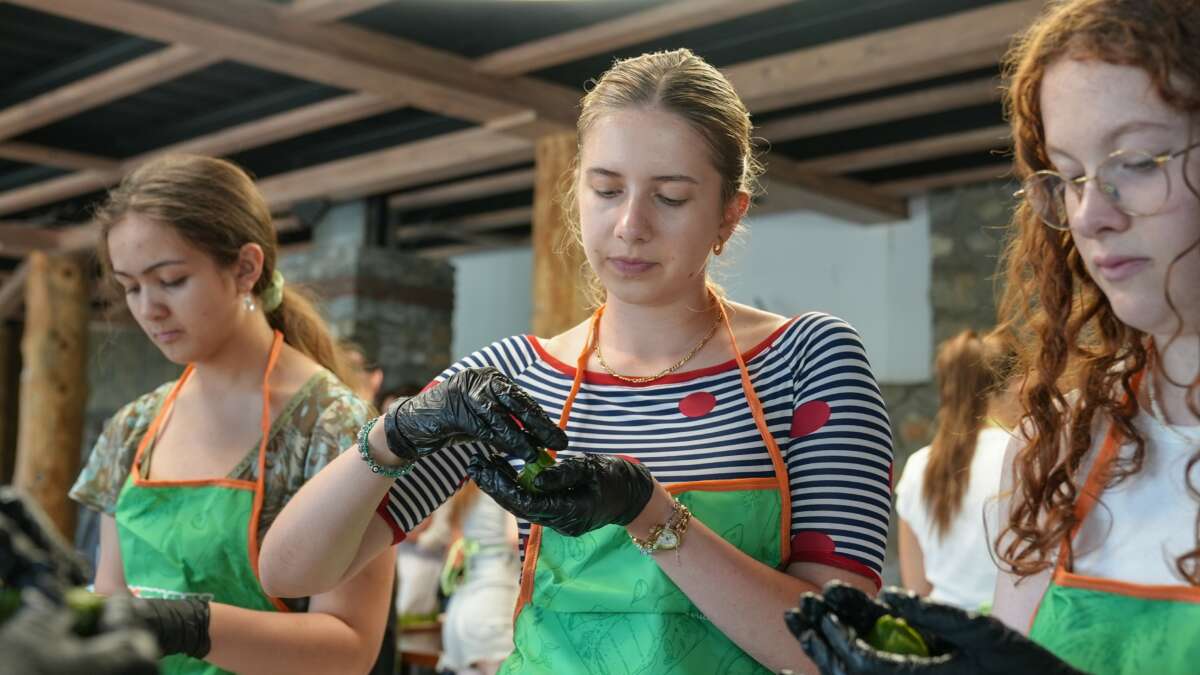 Coğrafi tescilli Gürsu armudu yabancı ellerde kurabiye oldu