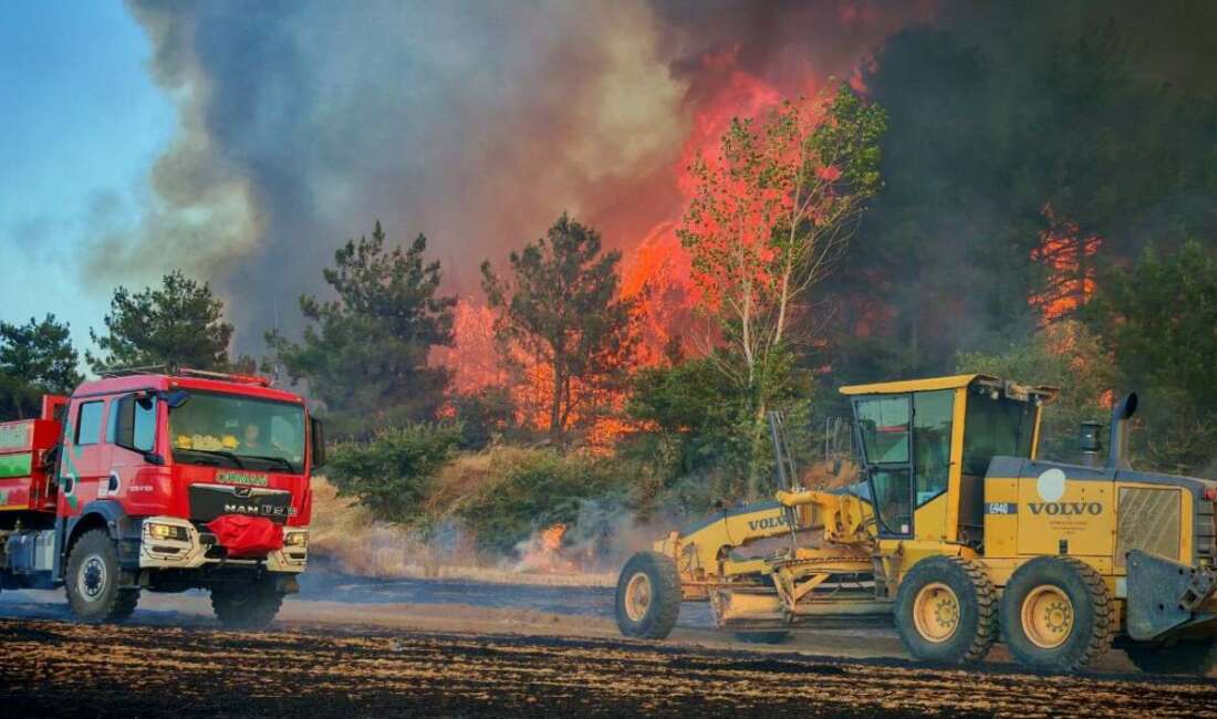 Edirne’nin Keşan ilçesinde çıkan