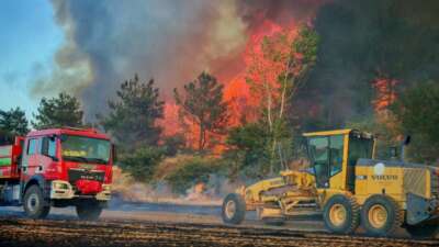 Edirne’nin Keşan ilçesinde çıkan orman
